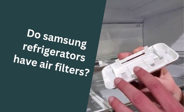 Do Samsung Refrigerators Have Air Filters: The Ultimate Guide